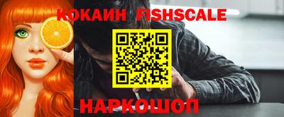 шишки Новодвинск