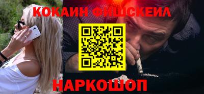 шишки Новодвинск