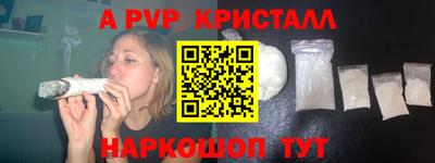 шишки Новодвинск