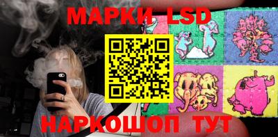 Альфа ПВП Новозыбков