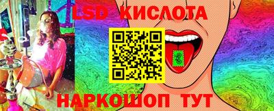 Альфа ПВП Новозыбков
