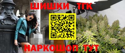 Альфа ПВП Новозыбков