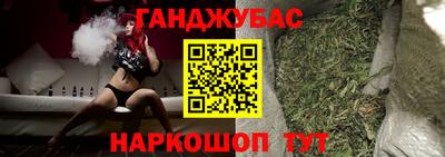 шишки Новодвинск