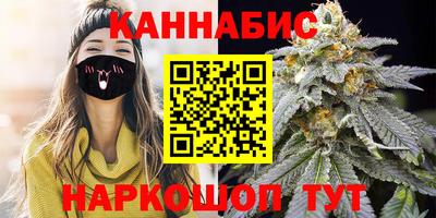 шишки Новодвинск