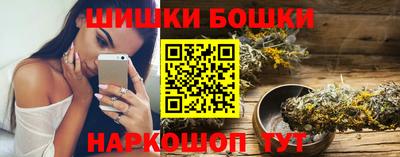 шишки Новодвинск
