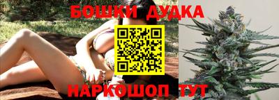Альфа ПВП Новозыбков