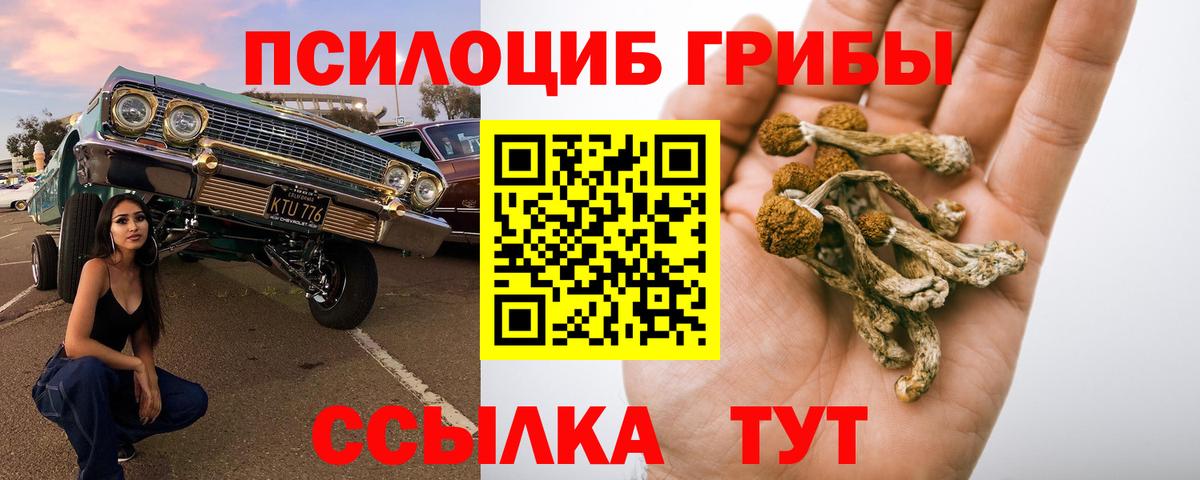 Псилоцибиновые грибы мухоморы  Вход с VPN  Туймазы 