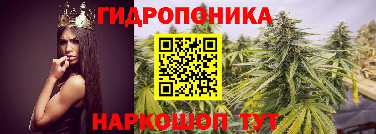 Туймазы  Конопля тримм  Шишки марихуана семена  Вход с VPN 